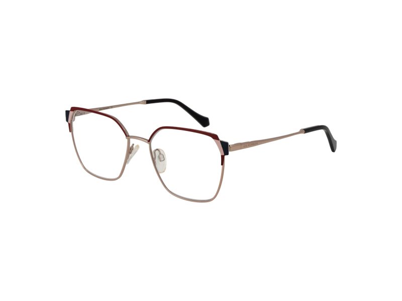 Ana Hickmann Brillen AH 1495 05A