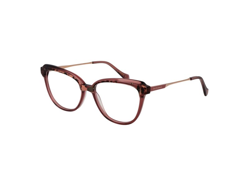 Ana Hickmann Brillen AH 6506 G22