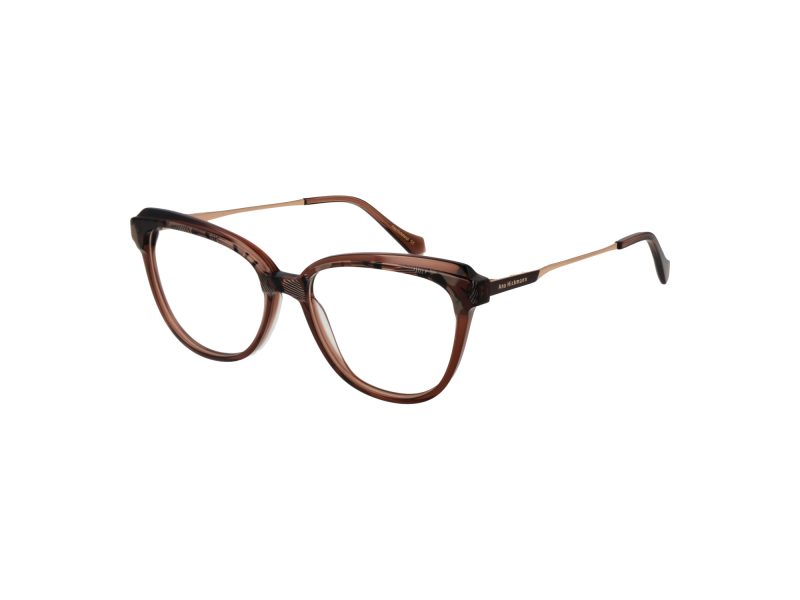 Ana Hickmann Brillen AH 6506 G23