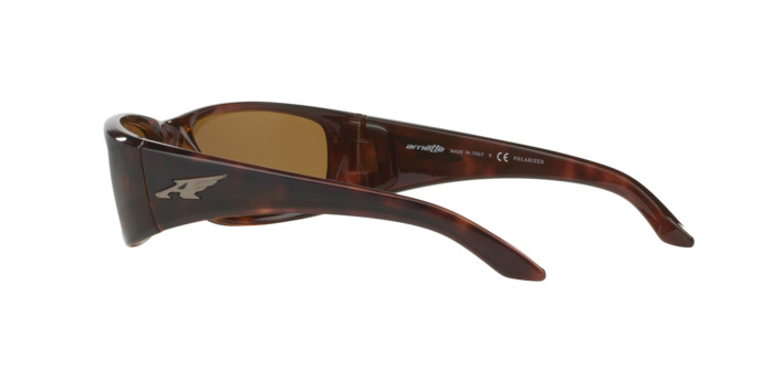 Arnette Quick Draw Sonnenbrille AN 4178 208783 Kontaktlins