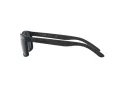 Arnette Slickster Sonnenbrille AN 4185 218887 59