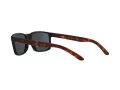 Arnette Slickster Sonnenbrille AN 4185 227381 59
