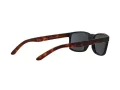 Arnette Slickster Sonnenbrille AN 4185 227381 59