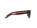 Arnette Slickster Sonnenbrille AN 4185 227381 59