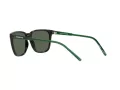 Arnette Cortex Sonnenbrille AN 4291 27539A