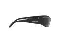 Arnette Catfish Sonnenbrille AN 4302 275881 62