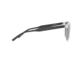 Arnette Woland Sonnenbrille AN 4307 275481