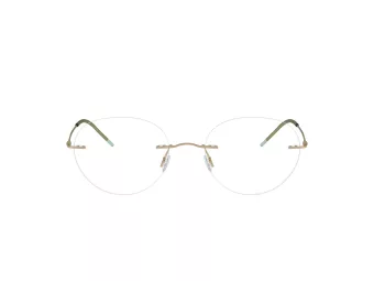 Giorgio Armani Brillen AR 5147 3002 50