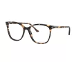 Giorgio Armani Brillen AR 7192 5847
