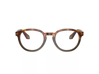 Giorgio Armani Brillen AR 7248 5988 50