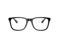 Giorgio Armani Brillen AR 7255 6087 55