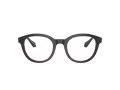 Giorgio Armani Brillen AR 7256 6088 48
