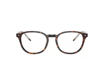 Giorgio Armani Brillen AR 7259 5879