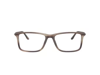 Giorgio Armani Brillen AR 7261 6167 56