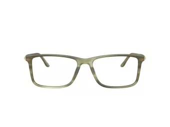 Giorgio Armani Brillen AR 7261 6168 56