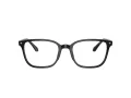 Giorgio Armani Brillen AR 7265 5875 55