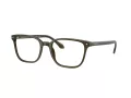 Giorgio Armani Brillen AR 7265 6169 55