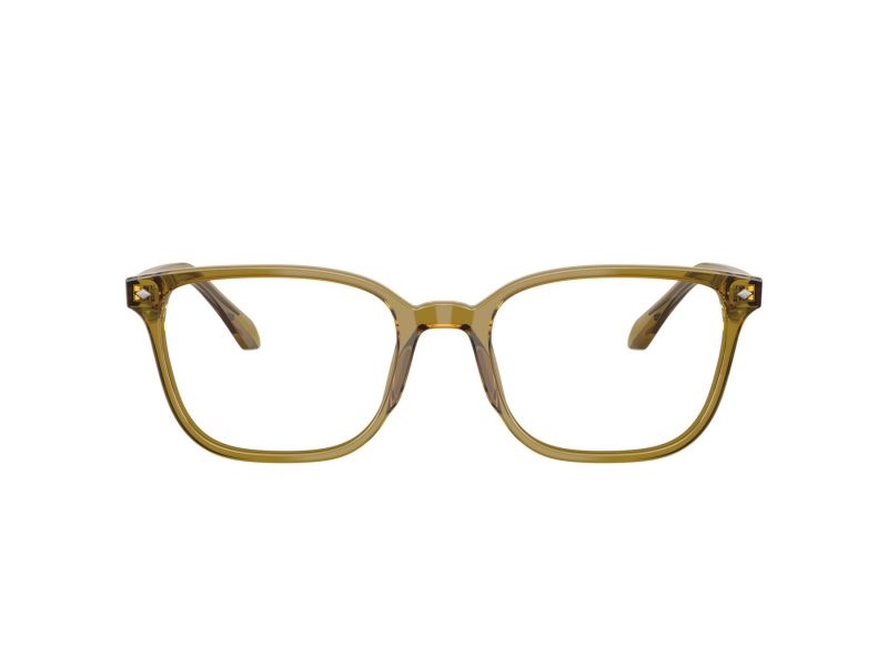 Giorgio Armani Brillen AR 7265 6172