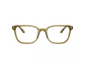 Giorgio Armani Brillen AR 7265 6172 55