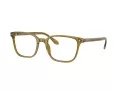 Giorgio Armani Brillen AR 7265 6172 55