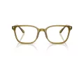 Giorgio Armani Brillen AR 7265 6172 55