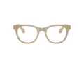 Giorgio Armani Brillen AR 7269 6161 48