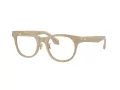 Giorgio Armani Brillen AR 7269 6161 48