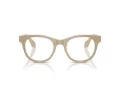 Giorgio Armani Brillen AR 7269 6161 48