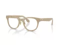 Giorgio Armani Brillen AR 7269 6161 48