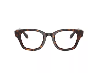 Giorgio Armani Brillen AR 7274 5879 49