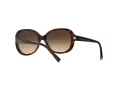 Giorgio Armani Sonnenbrille AR 8047 502613