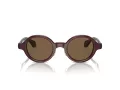 Giorgio Armani Sonnenbrille AR 8205 606273