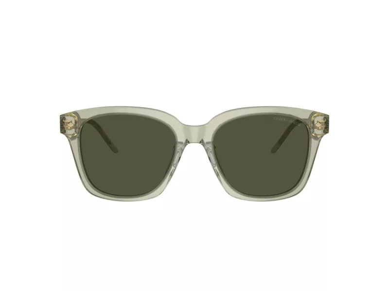 Giorgio Armani Sonnenbrille AR 8210U 608331