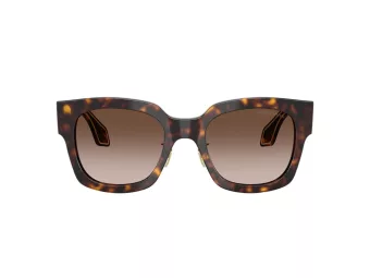 Giorgio Armani Sonnenbrille AR 8223 502613
