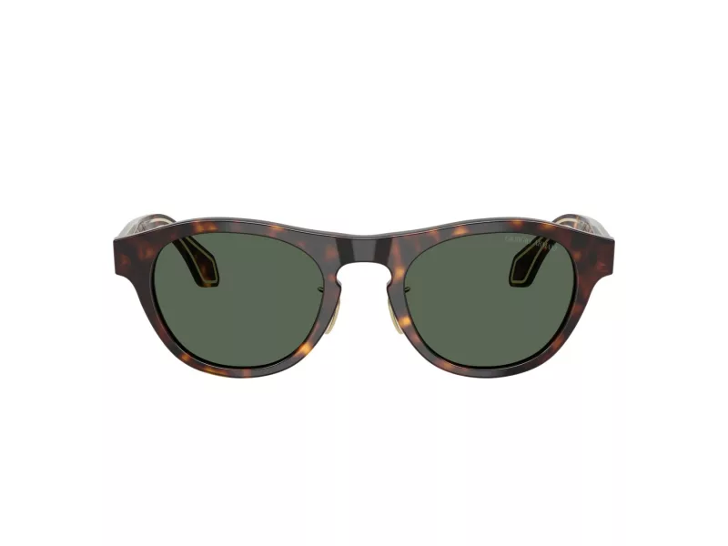 Giorgio Armani Sonnenbrille AR 8225 502671