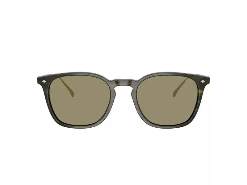 Giorgio Armani Sonnenbrille AR 8226T 62082A