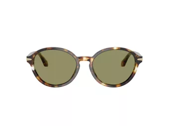Giorgio Armani Sonnenbrille AR 8237 623214