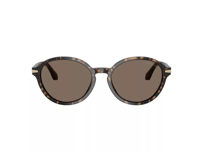 Giorgio Armani Sonnenbrille AR 8237 623573