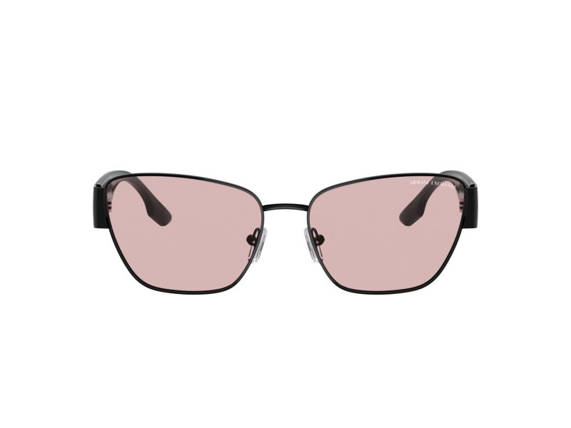 Armani Exchange Sonnenbrille AX 2051S 6000/5