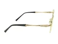 Berkeley Brillen BB Y_MO35 C2