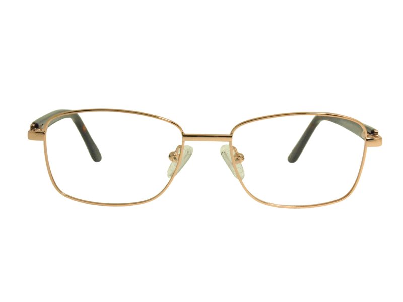 Berkeley Brillen BB Y_MO42 C2