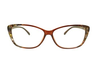 Berkeley Computer brille BB 1793 Brown 55