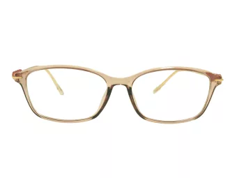Berkeley Computer brille BB T5005 C4 55