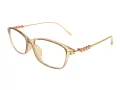 Berkeley Computer brille BB T5005 C4 55