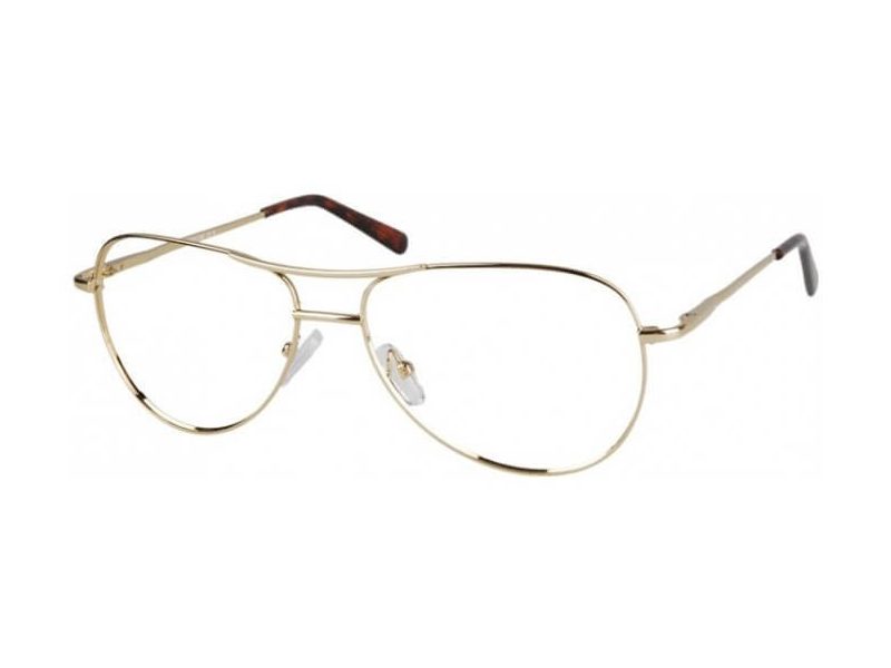 Berkeley Computer brille 699 B