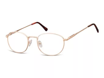 Berkeley Computer brille 794C 49