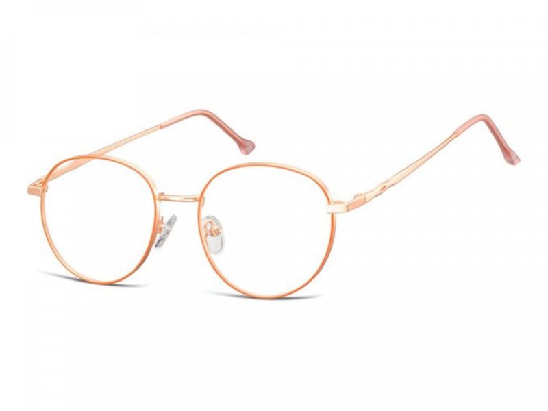 Berkeley Computer brille 912C