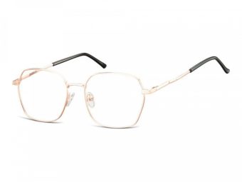 Berkeley Computer brille 913F