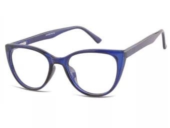 Berkeley Computer brille CP113F