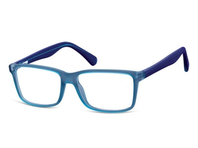 Berkeley Computer brille CP162 G